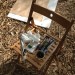 Art in the Bamboo Grove thumbnail