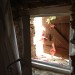 Room 9 - little window thumbnail