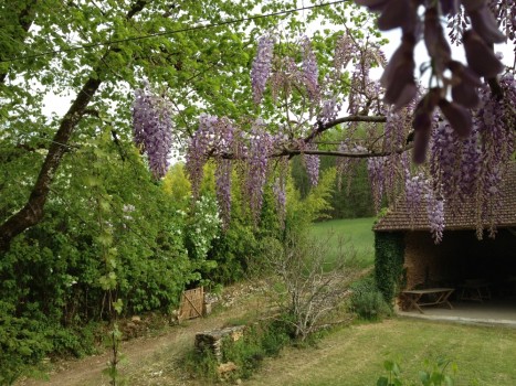 View from the Terrace